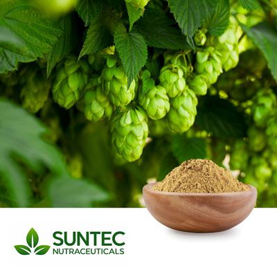 Hops Extract 10:1 by Suntec Nutraceuticals