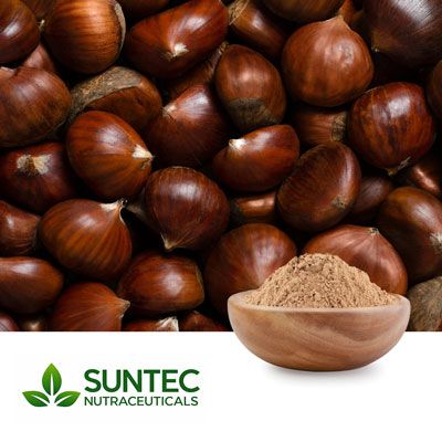 Horse Chestnut Powder by Suntec Nutraceuticals