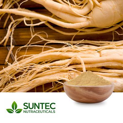 Korean Ginseng Root Extract 4:1 by Suntec Nutraceuticals