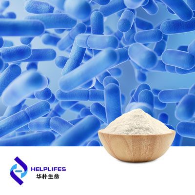Lactobacillus Helveticus Probiotics Powder (HH28 100B CFU/g) by Shanghai Helplifes Technology