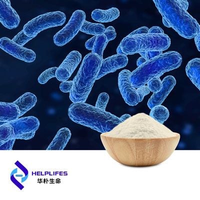 Lactobacillus paracasei HPC69 (100 Billion CFU/g) by Shanghai Helplifes Technology