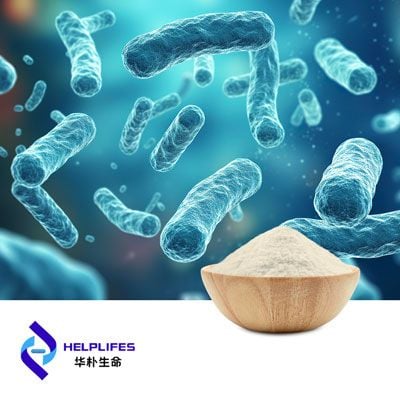 Lactobacillus reuteri HR7 (50B CFU/g) by Shanghai Helplifes Technology