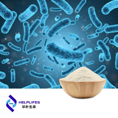 Lactobacillus Rhamnosus LR663 (100B CFU/g) Probiotic Powder  by Shanghai Helplifes Technology
