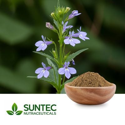 Lobelia Powder by Suntec Nutraceuticals