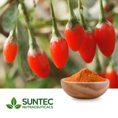 Lycii Berry Powder by Suntec Nutraceuticals