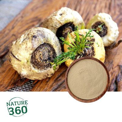 Maca Extract 5:1 by Nature 360