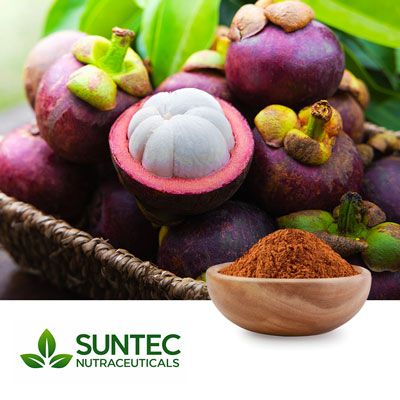 Mangosteen Fruit Powder by Suntec Nutraceuticals