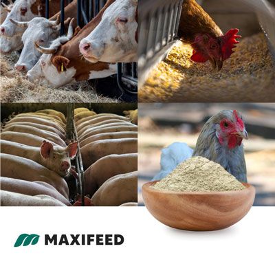 MAXIFEED ENERGY by MCMILLANCO, LLC