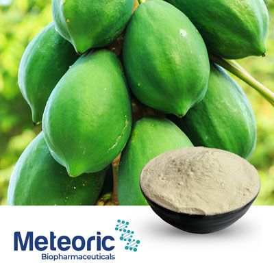 METPAPA Papain NLT 2000 USP U/gm by Meteoric Biopharmaceuticals