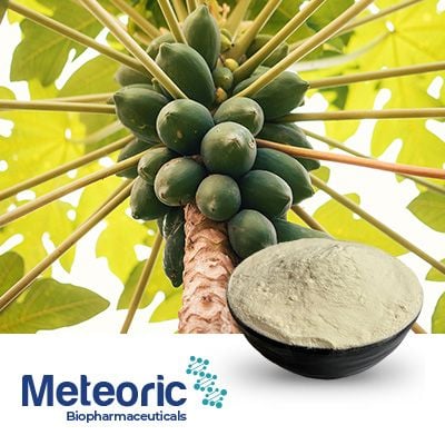 METPAPA Papain NLT 20,000 USP U/mg  by Meteoric Biopharmaceuticals