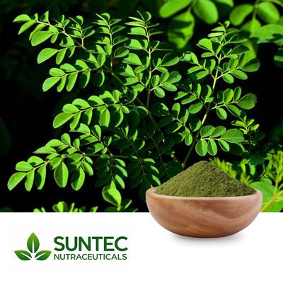 Moringa Leaf Powder by Suntec Nutraceuticals