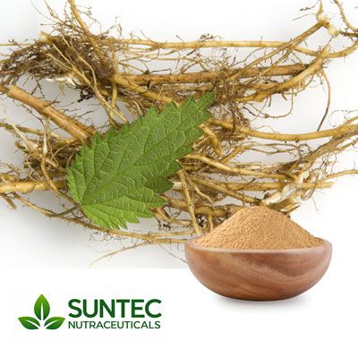 Nettle Root Powder by Suntec Nutraceuticals