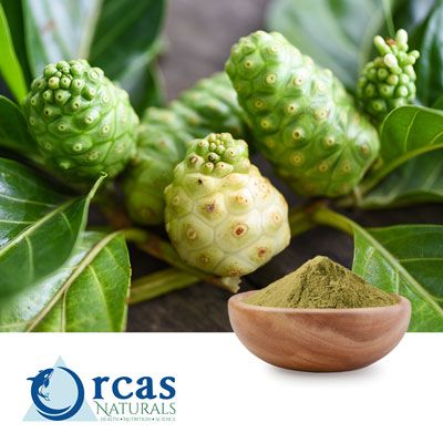 Noni Powder by Orcas Naturals