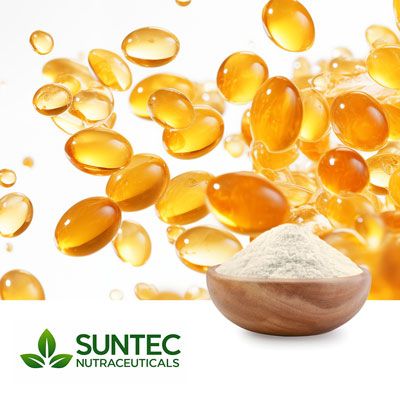 Omega 3 Fish Oil Powder 50% by Suntec Nutraceuticals