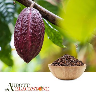 Organic Cacao Nibs by Abbott Blackstone