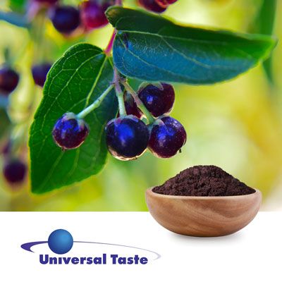 Organic Maqui Berry Freeze Dried Powder by Universal Taste