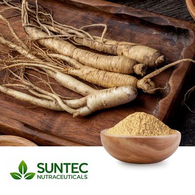 Panax Ginseng Root Extract 4:1 by Suntec Nutraceuticals