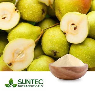 Pear Fruit Powder by Suntec Nutraceuticals