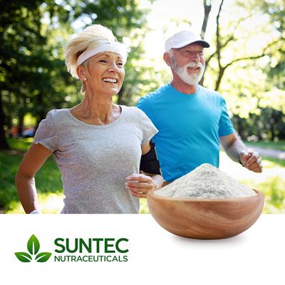 Phytosterols 95% by Suntec Nutraceuticals