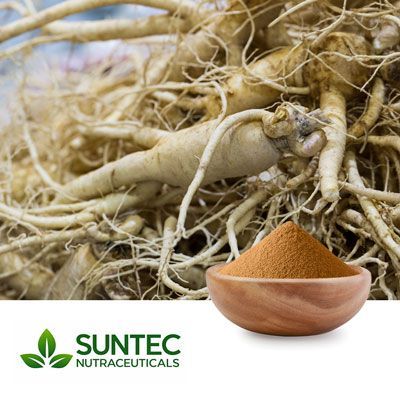 Platycodon Powder by Suntec Nutraceuticals