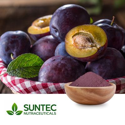 Plum Fruit Spray Dry Powder by Suntec Nutraceuticals