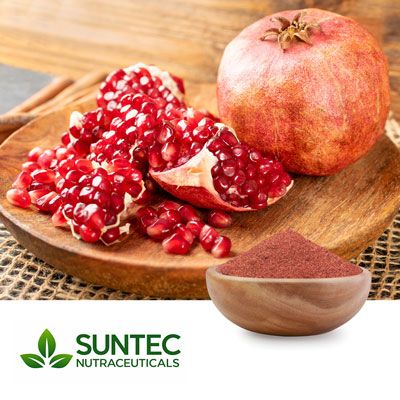 Pomegranate Fruit Powder by Suntec Nutraceuticals