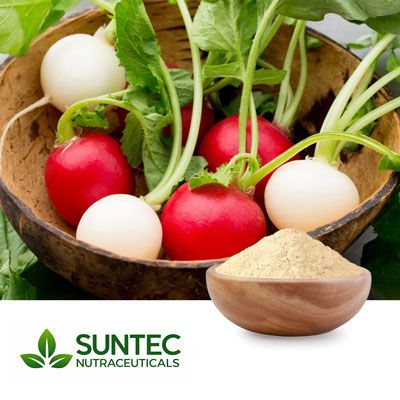 Radish Powder by Suntec Nutraceuticals