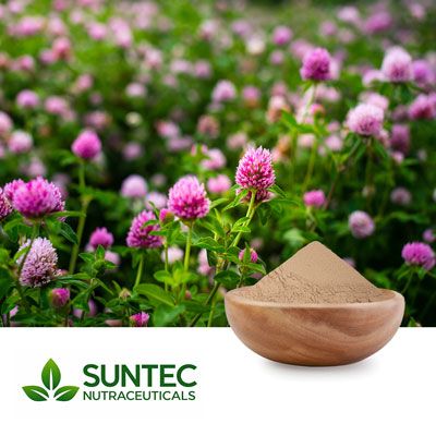Red Clover Powder by Suntec Nutraceuticals
