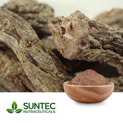 Rehmannia Root Powder by Suntec Nutraceuticals