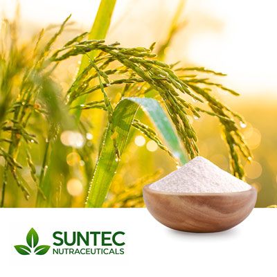 Rice Flour by Suntec Nutraceuticals