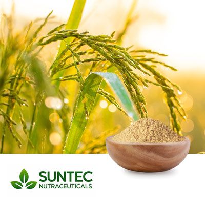 Rice Hull Powder by Suntec Nutraceuticals