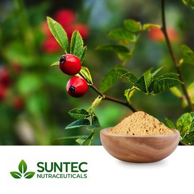 Rosehip Powder         by Suntec Nutraceuticals
