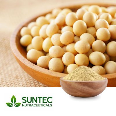 Soy Lecithin Powder by Suntec Nutraceuticals