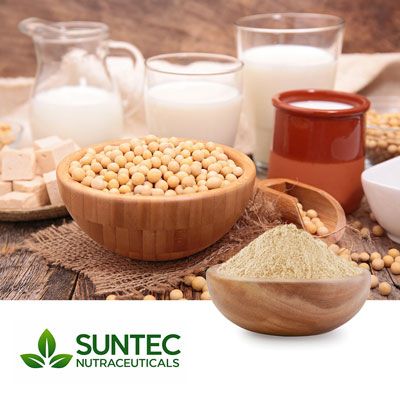 Soy Protein Isolate 90% by Suntec Nutraceuticals