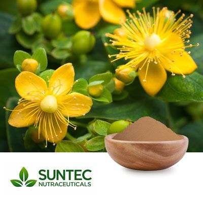 St. John's Wort Powder by Suntec Nutraceuticals