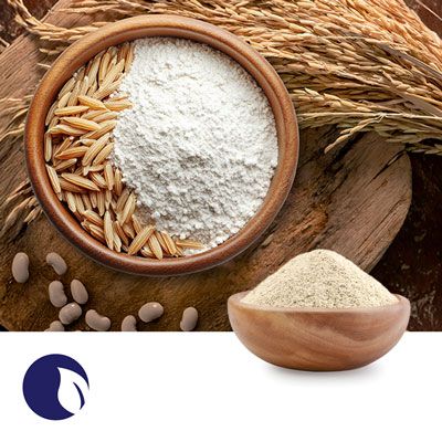 StabilCore™ Stabilized Rice Bran and Pre-Cooled Navy Beans by Stabil Nutrition