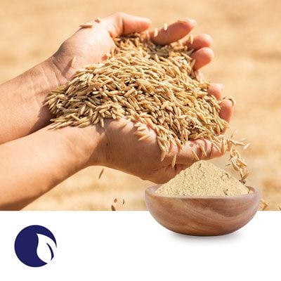 Stabilized Rice Bran by Stabil Nutrition