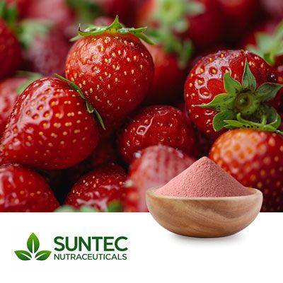 Strawberry Fruit Powder by Suntec Nutraceuticals