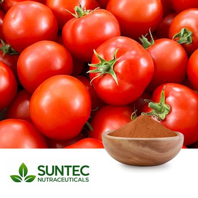 Tomato Powder by Suntec Nutraceuticals