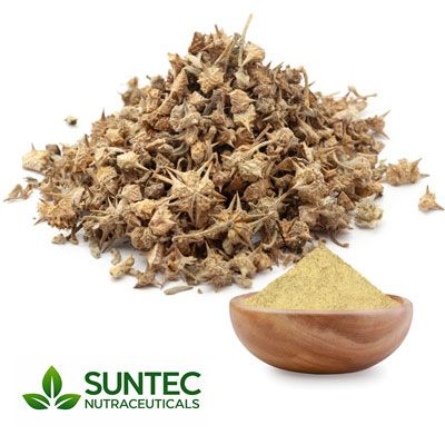 Tribulus Powder by Suntec Nutraceuticals