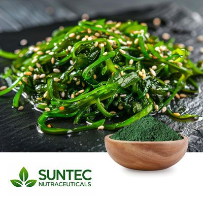 Wakame Powder by Suntec Nutraceuticals