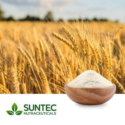 Wheat flour by Suntec Nutraceuticals