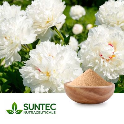 White Peony Root Powder by Suntec Nutraceuticals