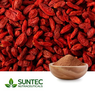 Wolfberry Powder by Suntec Nutraceuticals