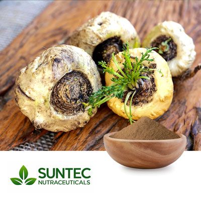 Maca Powder by Suntec Nutraceuticals