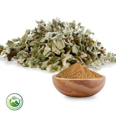 Mullein Extract 10:1 by Xi'an Herbs Valley
