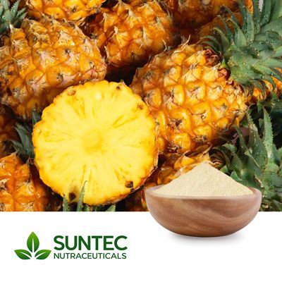 Pineapple Spray Dry Powder by Suntec Nutraceuticals