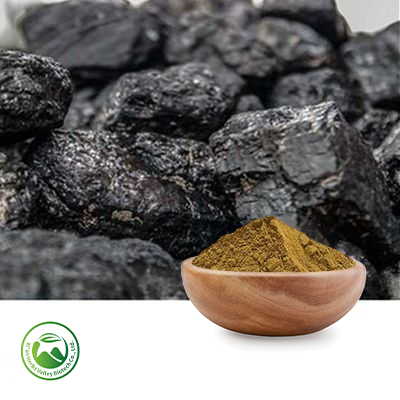 Shilajit Extract 20% Fulvic Acid by Xi'an Herbs Valley