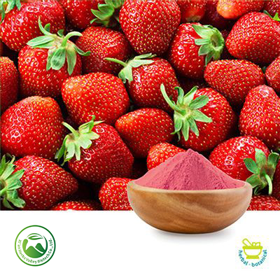 Strawberry Fruit Powder by Xi'an Herbs Valley