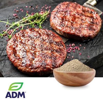 Arcon® SJ Soy Protein Concentrate by ADM